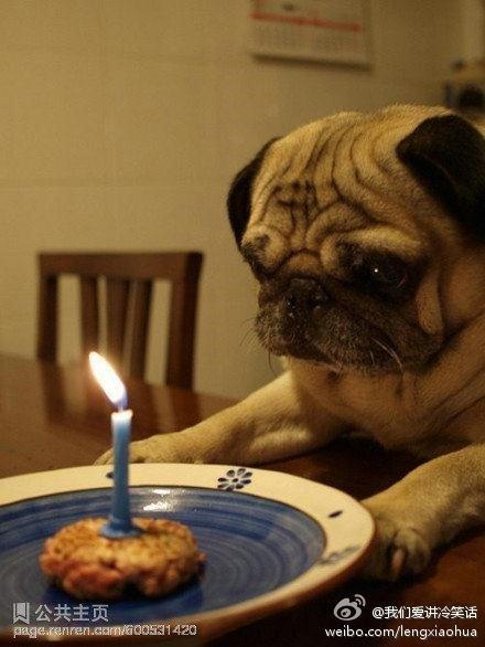 搞笑图片-生日蛋糕